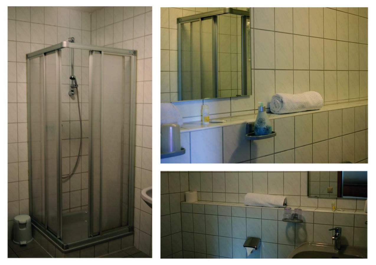 Pension Rupertstubn Ingolstadt Extérieur photo